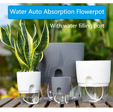 Load image into Gallery viewer, Plantaid™ - Self Watering Gardening Pot
