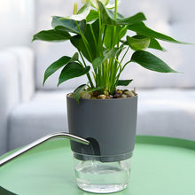 Load image into Gallery viewer, Plantaid™ - Self Watering Gardening Pot
